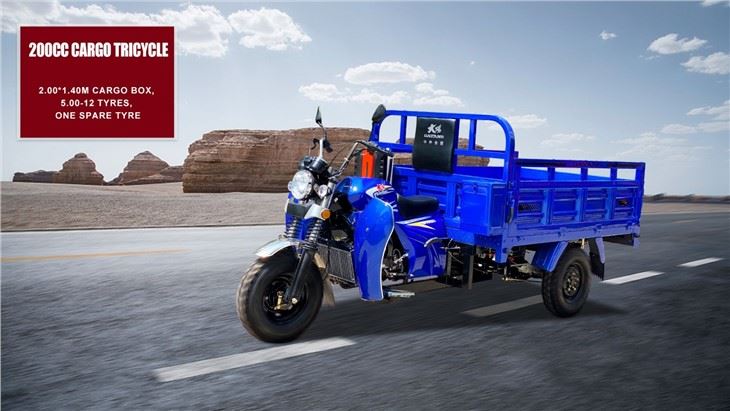factory Motorized Fuel Cargo Tricycle Motorcycle