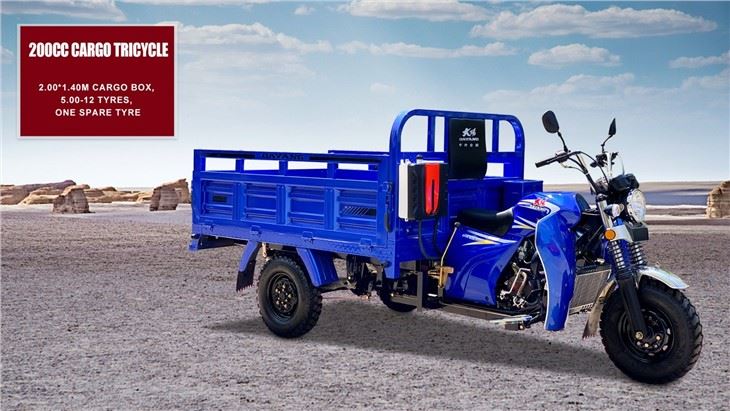 farming Motorized Fuel Cargo Tricycle Motorcycle
