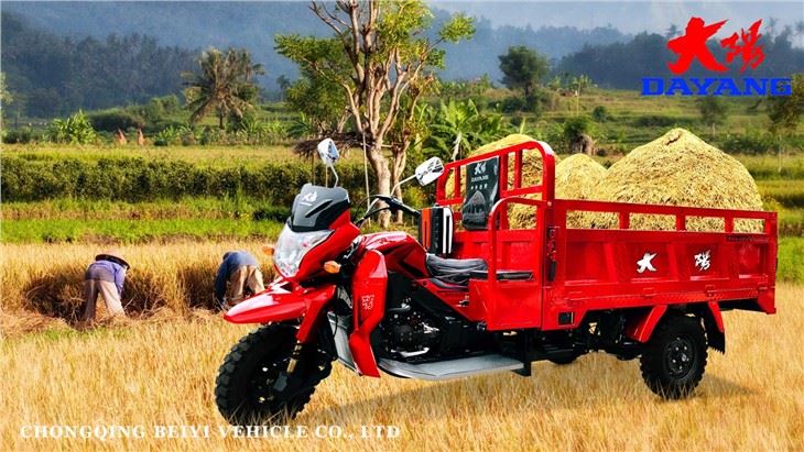 Super Power Cargo Motor Tricycle direct sale