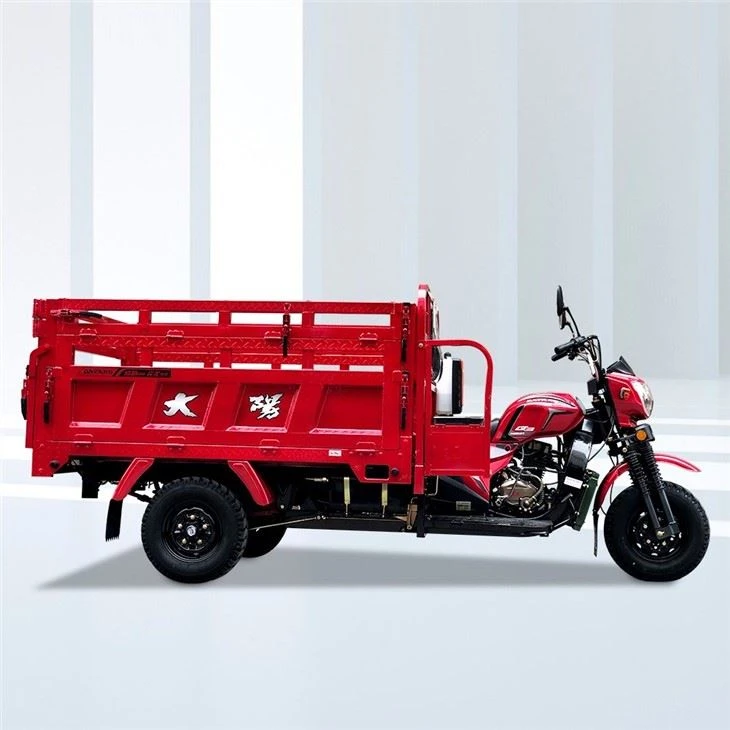 300cc Three Wheel Moto Carga