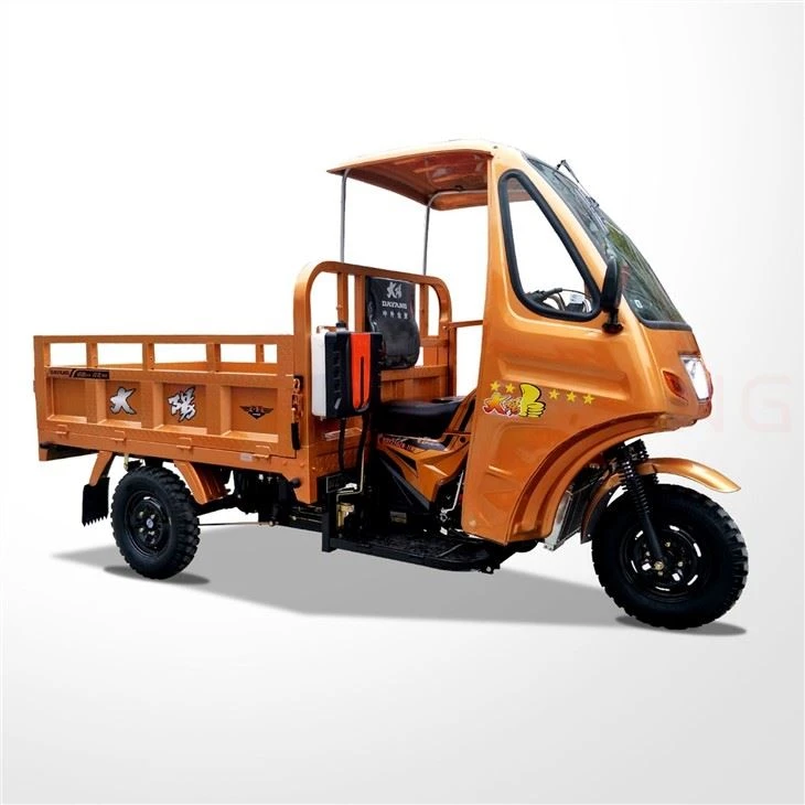 Tricycle Moto Cargo