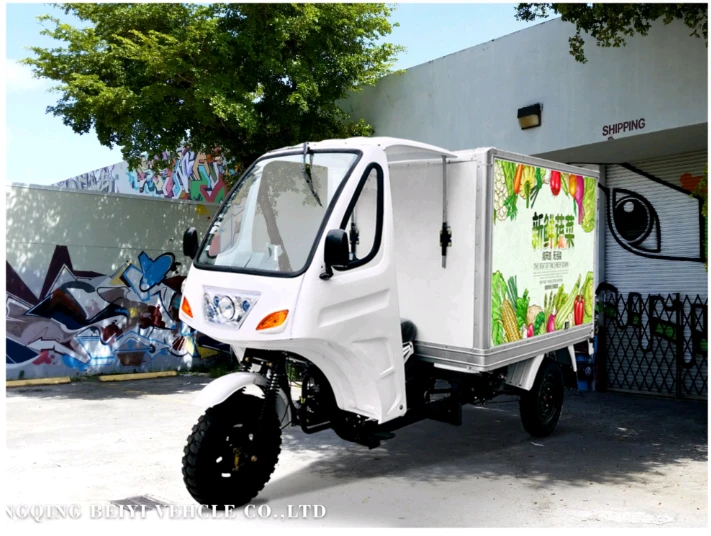 Popular Model 200cc Semi Cabin Freeze Cargo Tricycles Trike, Three Wheel Motorcycle