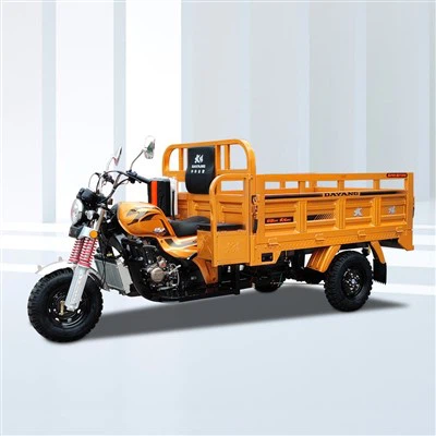 200cc تعمل بالغاز دراجة ثلاثية العجلات لنقل البضائع ذات العجلات الثلاث
