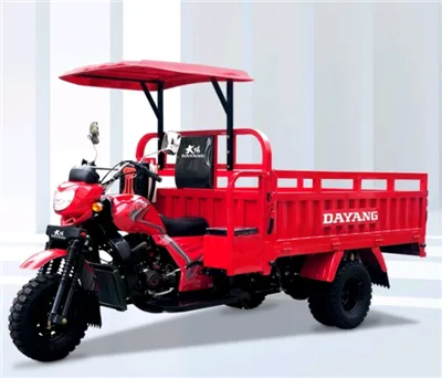 ماركة Dayang DY250ZH-7 دراجة نارية بثلاث عجلات