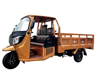 مصنع DAYANG يقوم مباشرة بتوريد دراجة ثلاثية العجلات لتحميل المحرك المبرد بالماء 200cc